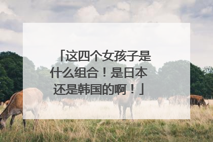 这四个女孩子是什么组合!是日本还是韩国的啊!