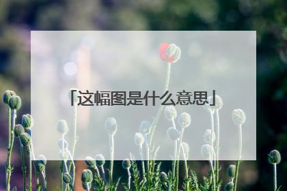 这幅图是什么意思
