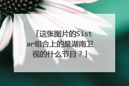 这张图片的Sistar组合上的是湖南卫视的什么节目？