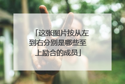 这张图片按从左到右分别是哪些至上励合的成员