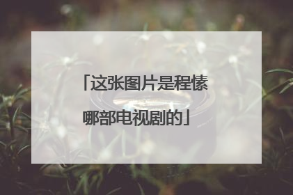 这张图片是程愫哪部电视剧的