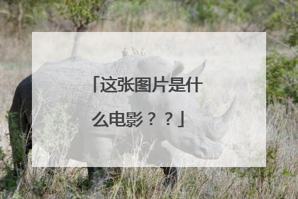 这张图片是什么电影??