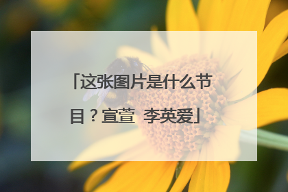 这张图片是什么节目?宣萱 李英爱