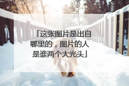 这张图片是出自哪里的,图片的人是谁两个大光头