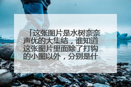 这张图片是水树奈奈声优的大集结,谁知道这张图片里面除了打钩的小图以外,分别是什么动漫里的?谢谢