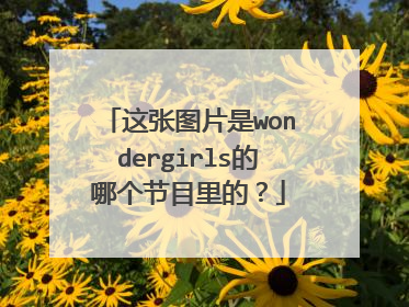 这张图片是wondergirls的哪个节目里的？