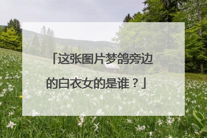 这张图片梦鸽旁边的白衣女的是谁？