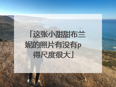 这张小甜甜布兰妮的照片有没有p得尺度很大