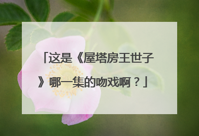 这是《屋塔房王世子》哪一集的吻戏啊？