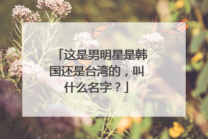 这是男明星是韩国还是台湾的，叫什么名字？