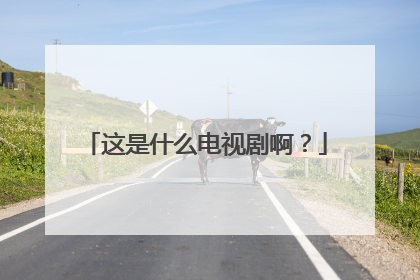 这是什么电视剧啊？