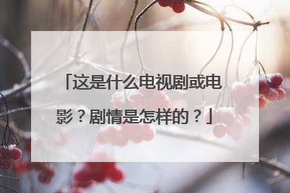 这是什么电视剧或电影？剧情是怎样的？