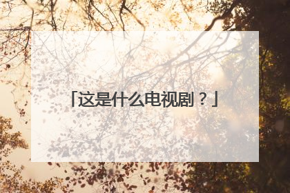 这是什么电视剧？