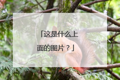 这是什么上面的图片?