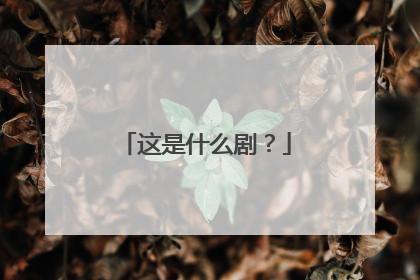 这是什么剧？