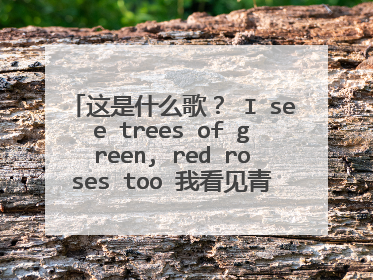 这是什么歌？ I see trees of green, red roses too 我看见青翠的树林，还有那红