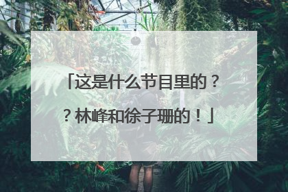 这是什么节目里的??林峰和徐子珊的!