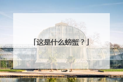 这是什么螃蟹？