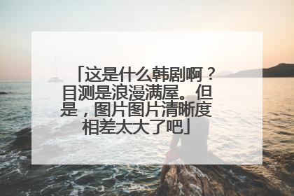 这是什么韩剧啊?目测是浪漫满屋。但是,图片图片清晰度相差太大了吧
