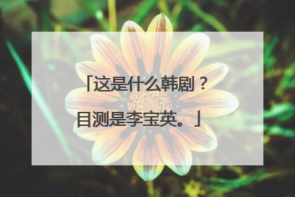 这是什么韩剧？目测是李宝英。