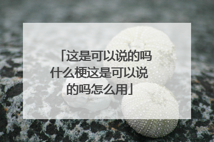 这是可以说的吗什么梗这是可以说的吗怎么用