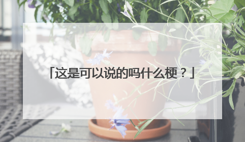这是可以说的吗什么梗?