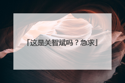 这是关智斌吗?急求