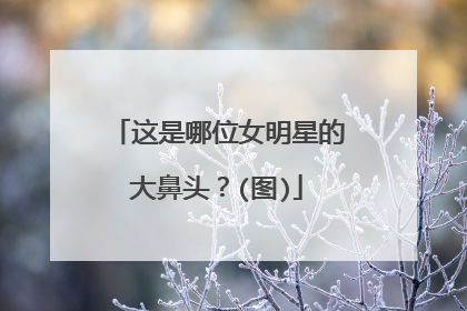 这是哪位女明星的大鼻头?(图)