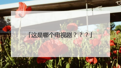这是哪个电视剧？？？
