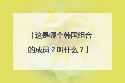 这是哪个韩国组合的成员?叫什么?