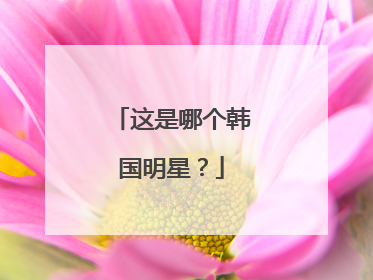 这是哪个韩国明星？