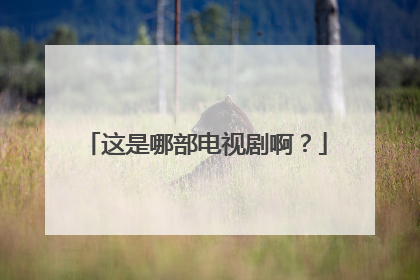 这是哪部电视剧啊？