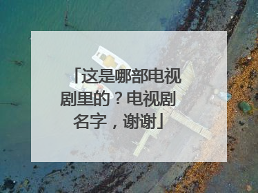 这是哪部电视剧里的?电视剧名字,谢谢