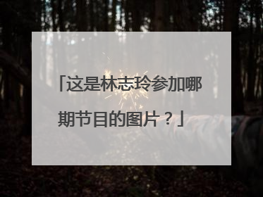 这是林志玲参加哪期节目的图片？