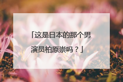 这是日本的那个男演员柏原崇吗？