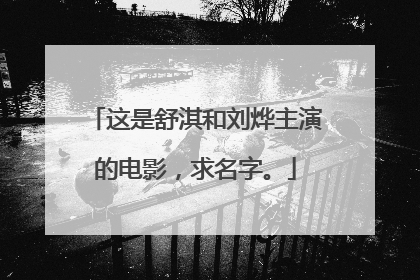 这是舒淇和刘烨主演的电影,求名字。