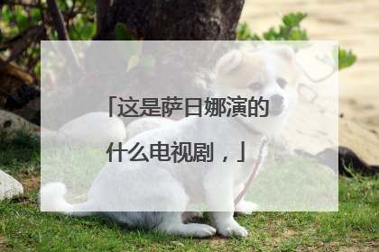 这是萨日娜演的什么电视剧,