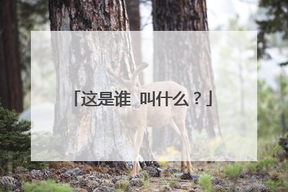 这是谁 叫什么？
