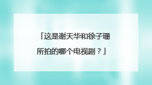 这是谢天华和徐子珊所拍的哪个电视剧？