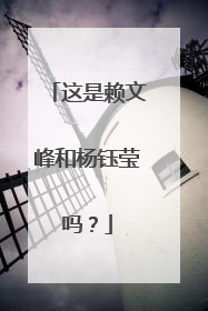 这是赖文峰和杨钰莹吗？