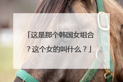 这是那个韩国女组合?这个女的叫什么?