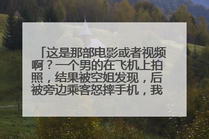 这是那部电影或者视频啊?一个男的在飞机上拍照,结果被空姐发现,后被旁边乘客怒摔手机,我在年度喜剧之