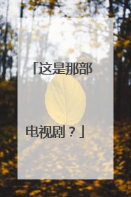 这是那部电视剧？