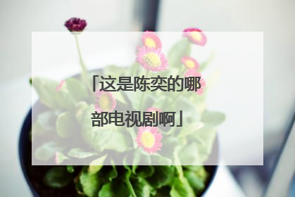 这是陈奕的哪部电视剧啊