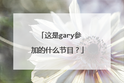 这是gary参加的什么节目？