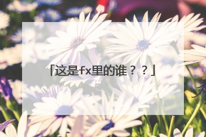 这是fx里的谁？？