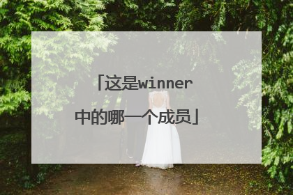 这是winner中的哪一个成员