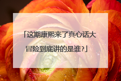 这期康熙来了真心话大冒险到底讲的是谁?