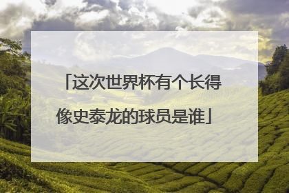 这次世界杯有个长得像史泰龙的球员是谁