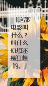 这部电影叫什么?叫什么幻想还是狂想的。